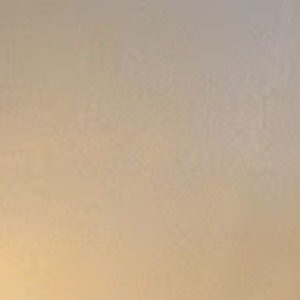 Meet your Posher, Royce